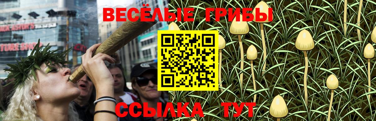 дарнет шоп  Вход с VPN  Элиста  Галлюциногенные грибы Psilocybine cubensis  Псилоцибиновые грибы мухоморы 